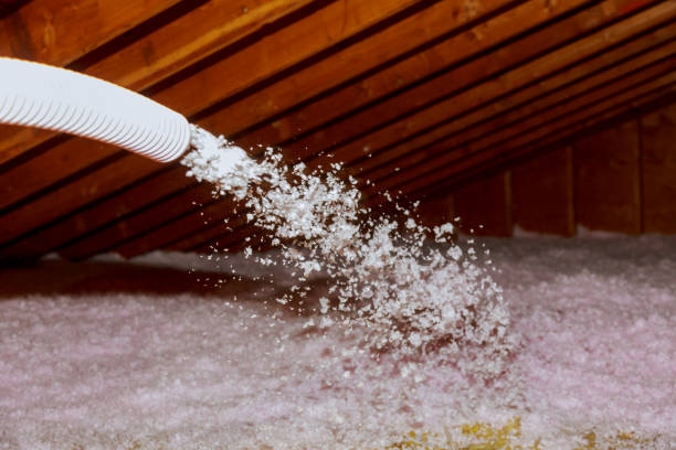 Best Commercial Insulation in Phelan, CA